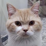 wgt27026的个人资料头像