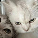 用户6701306118321头像