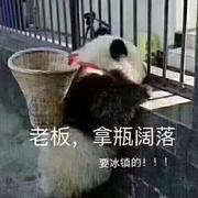 锐鼎的个人资料头像