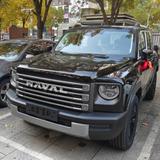 我的猛龙叫嗷呜头像