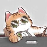 貓君子头像