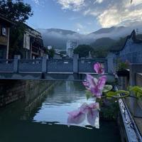 哈弗—阿龙头像