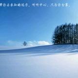 大地6396头像