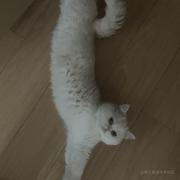 Exal的个人资料头像