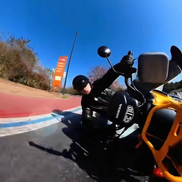 幼兽也是兽头像