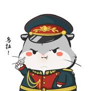 公孙乌龙茶的个人资料头像