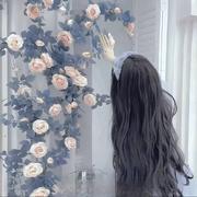 24145的个人资料头像