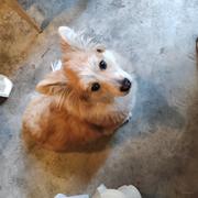 大西瓜不想说话的个人资料头像