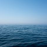 AA奥特曼769头像