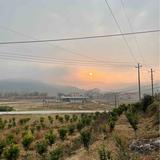 讨厌厦天头像