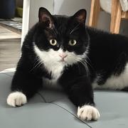 Smilve的个人资料头像