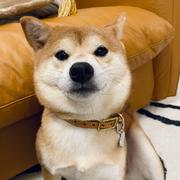 Philip的个人资料头像