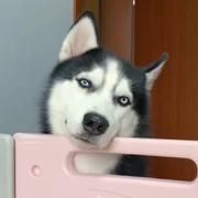MR_SEEKS的个人资料头像