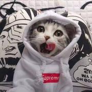 backend_无奇的个人资料头像