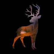 奇芬达的个人资料头像