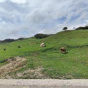 rainsc的个人资料头像