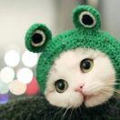 程序小媛的个人资料头像