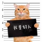 Donal_ga的个人资料头像