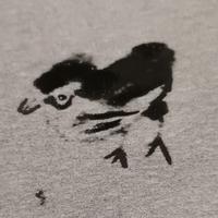 什锦味马卡龙头像