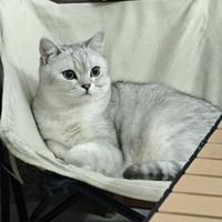 山川湖海乚头像