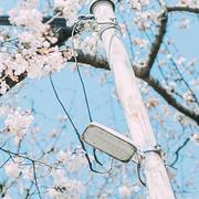 400兆分之一的个人资料头像