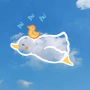 yxy639的个人资料头像