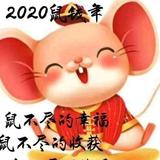 东哥头像