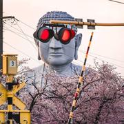 煎锅逃进火炉的个人资料头像