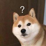 杭锦后旗商客通讯头像