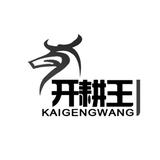 河北开耕王头像