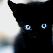 4074的个人资料头像