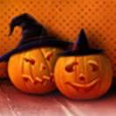 天使之恶的个人资料头像