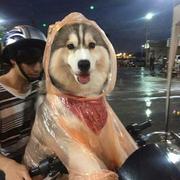 EEETA的个人资料头像