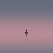 张毅366的个人资料头像