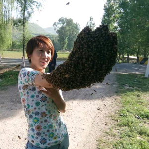 小李蜂蜜-海燕-康宁苑小区销售部头像