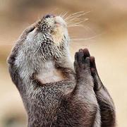 demonskp的个人资料头像