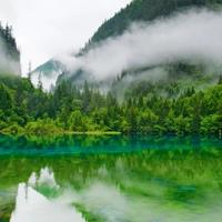 汪千龙363头像