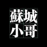 大熊V尼斯头像