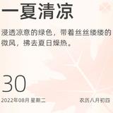 真爱无敌88头像