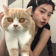幕名的个人资料头像
