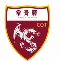 重庆常青藤足球俱乐部头像