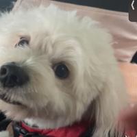 用户3062563717911头像