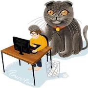 Zz2021的个人资料头像