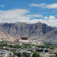 咫尺天涯5187头像