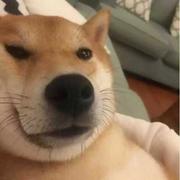 and的个人资料头像