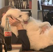 鱼Sir的个人资料头像