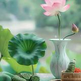 用户824191195998头像