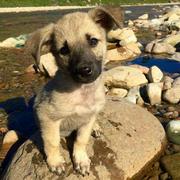 觉醒965的个人资料头像