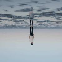 Dontbelieve351头像