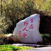 多才的笨姥爷头像